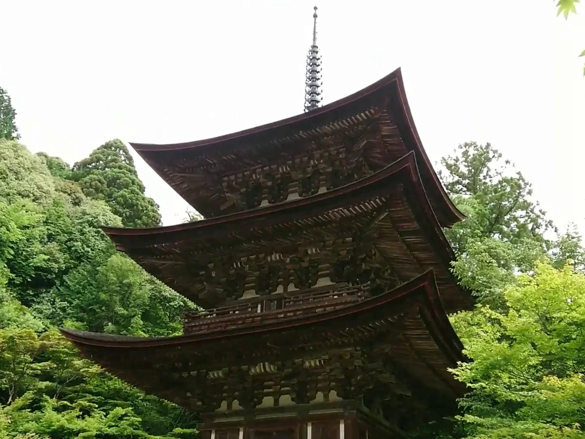 Pagoda eaves — reference photograph