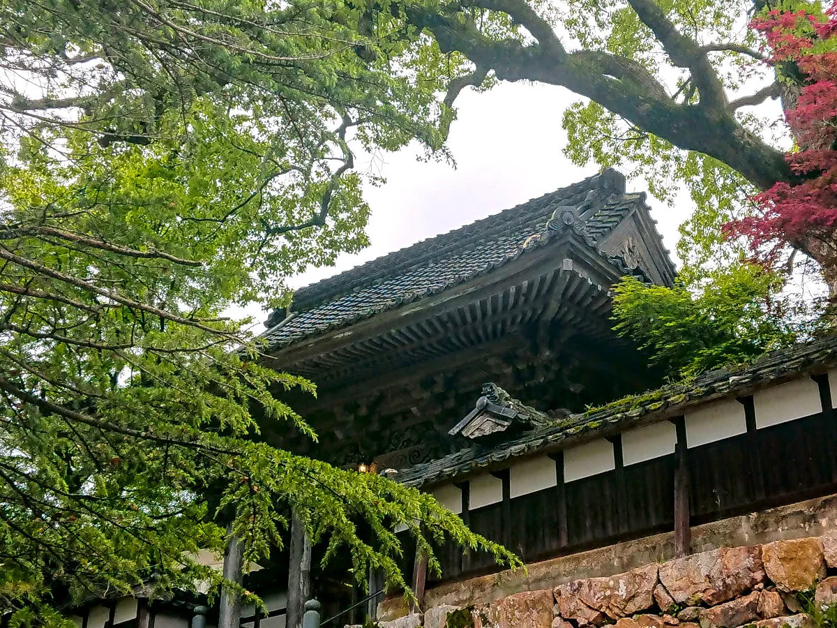 Temple gate eaves above a stone wall, framed by trees